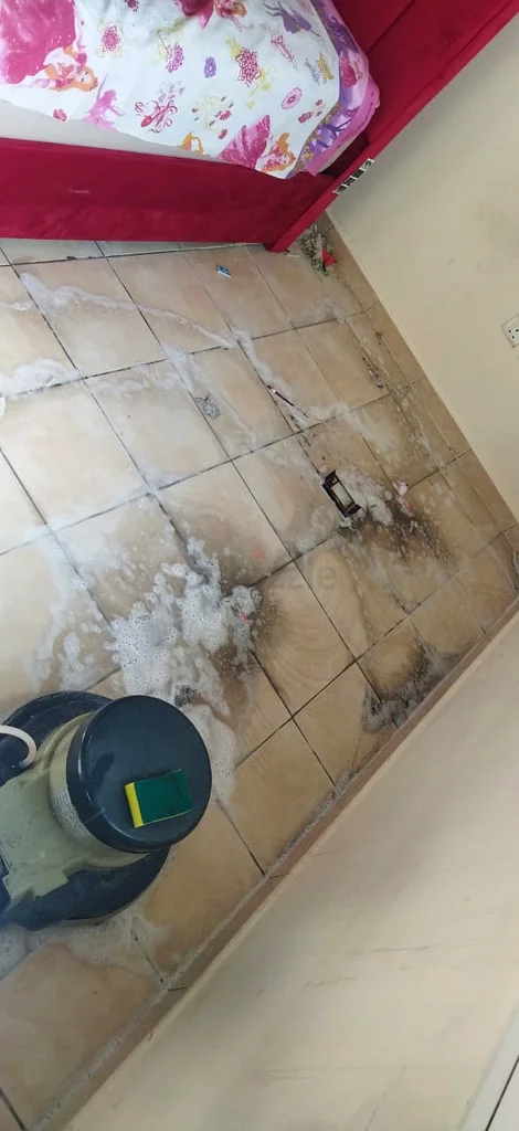 Cleaning63438636700673114