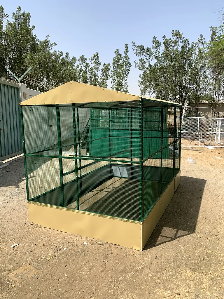 Spacious and Stylish Outdoor Aviary for Birds63231686288771112