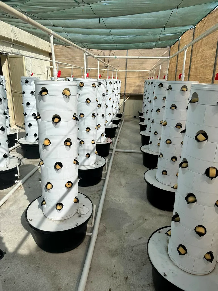 Hydroponic tower farm (ready made solution)63258656547714113