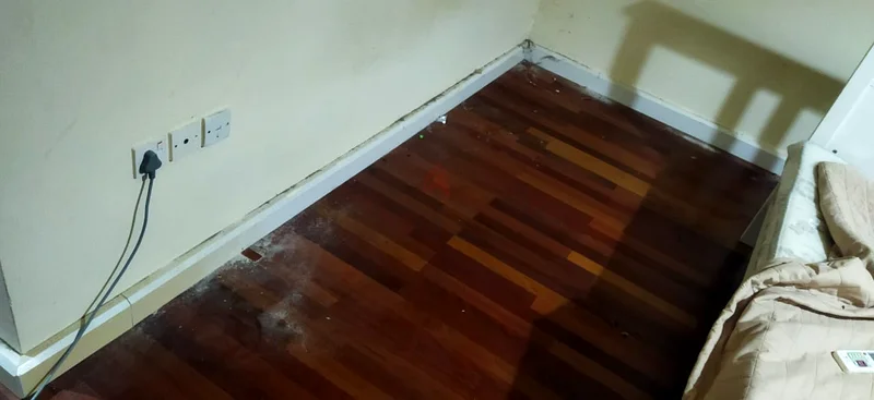 Cleaning63438636700673112