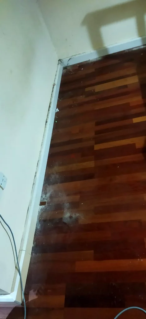 Cleaning63438636700673111