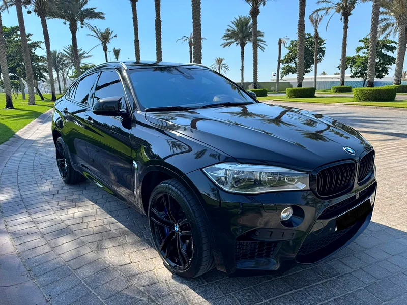 GCC 2018 BMW X6M63161528030978111