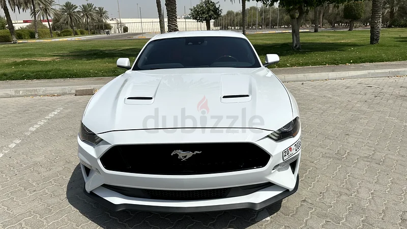 ابوظبي / بني ياس63148646755203111