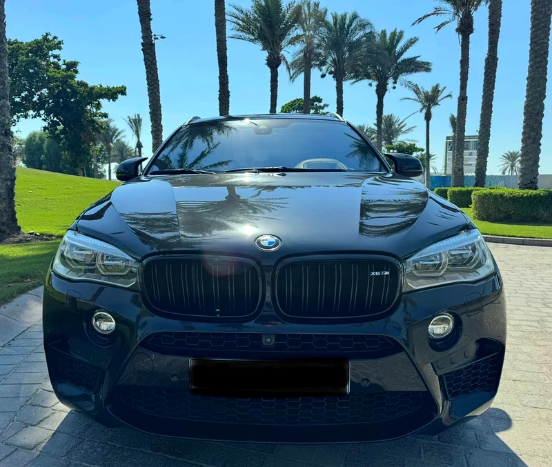 GCC 2018 BMW X6M63161528030978112