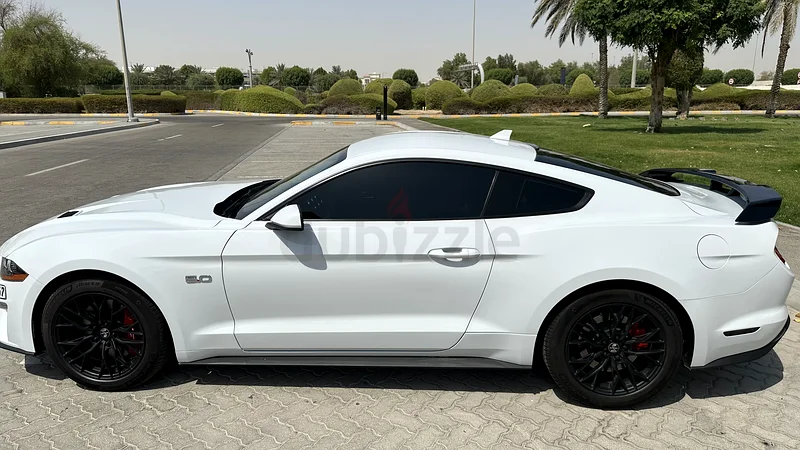 ابوظبي / بني ياس63148646755203112