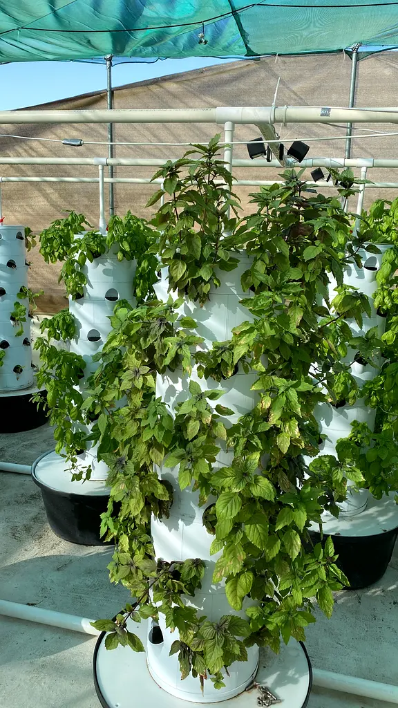 Hydroponic tower farm (ready made solution)63258656547714116