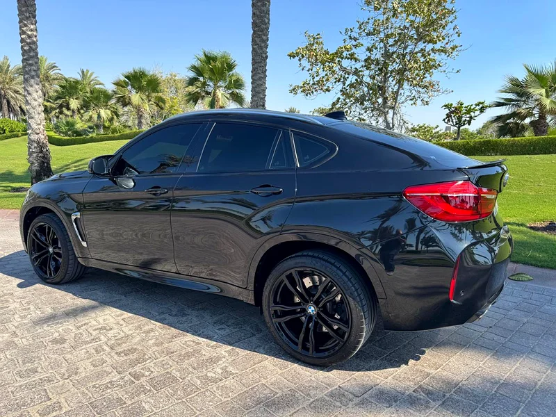 GCC 2018 BMW X6M63161528030978114