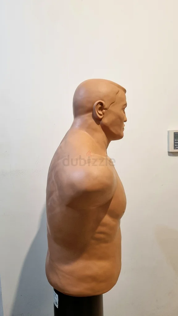 Century B.O.B Punching Dummy for sale63241121761539112
