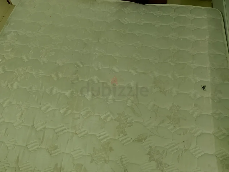 فراشة السرير63216838096770111