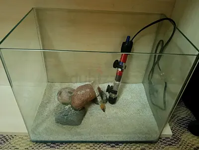 Stunning Fish Tank with Heater and Water Balancing Chemicals