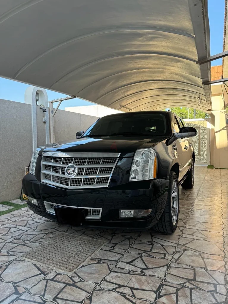 بلاتينيوم62929647950467116