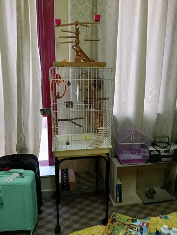 Spacious Bird Cage with Stand, Tree, and Toys for Sale!