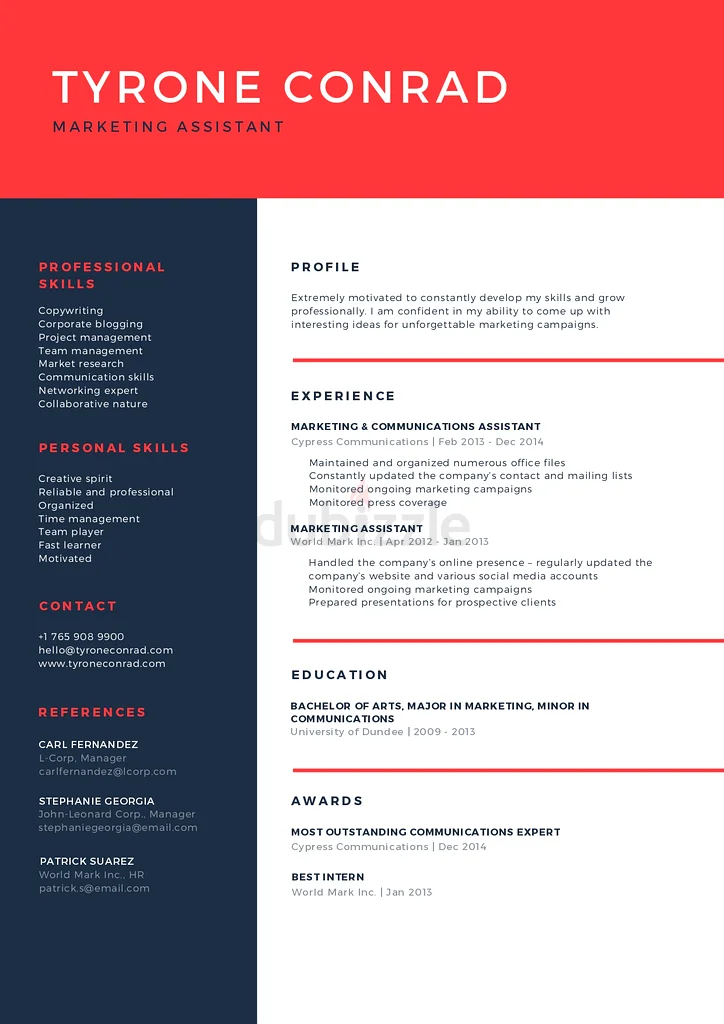 PROFESSIONAL CV63215879325441112