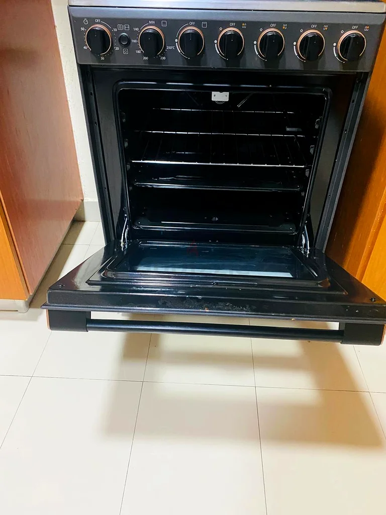 Gourmet Cooking with the Toshiba Gas Range Oven!63168524499201111