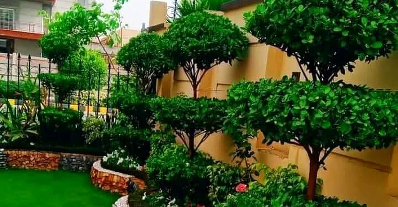 خدمات تنسيق الحدائق والصيانة63216843027587114