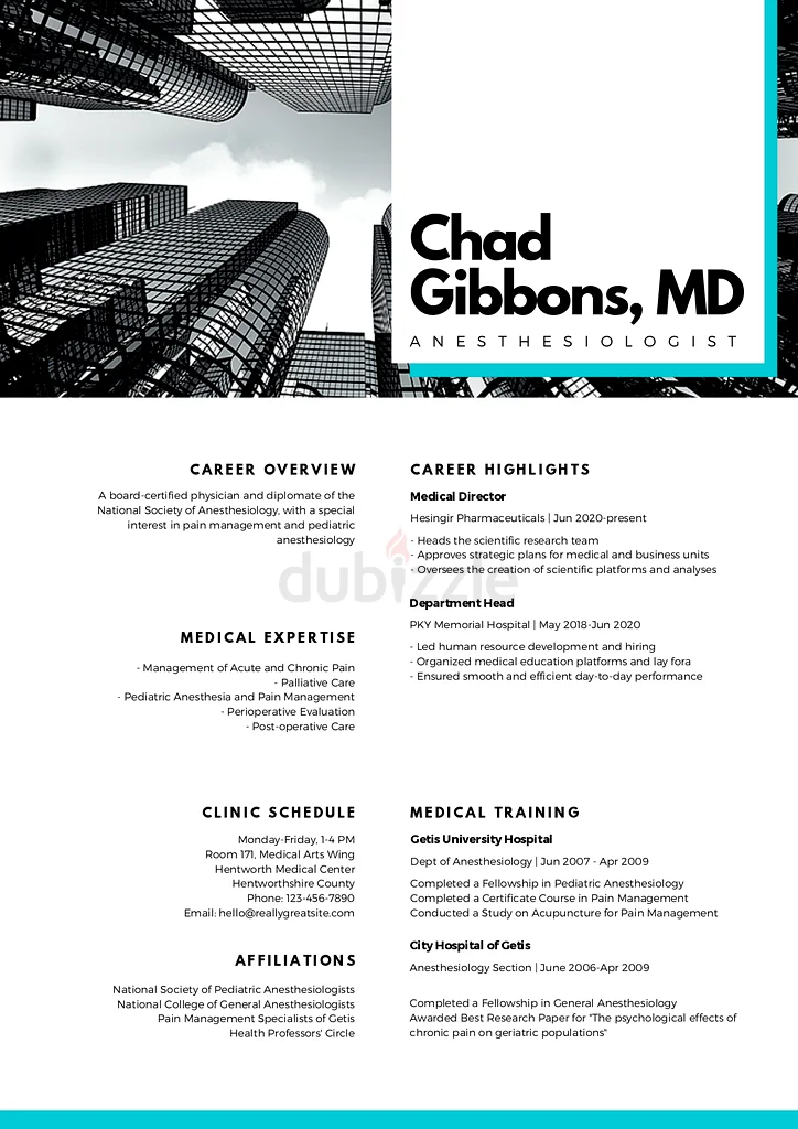 PROFESSIONAL CV63215879325441114