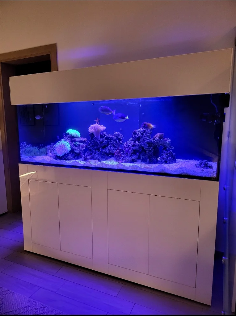 aquarium63233644987906112