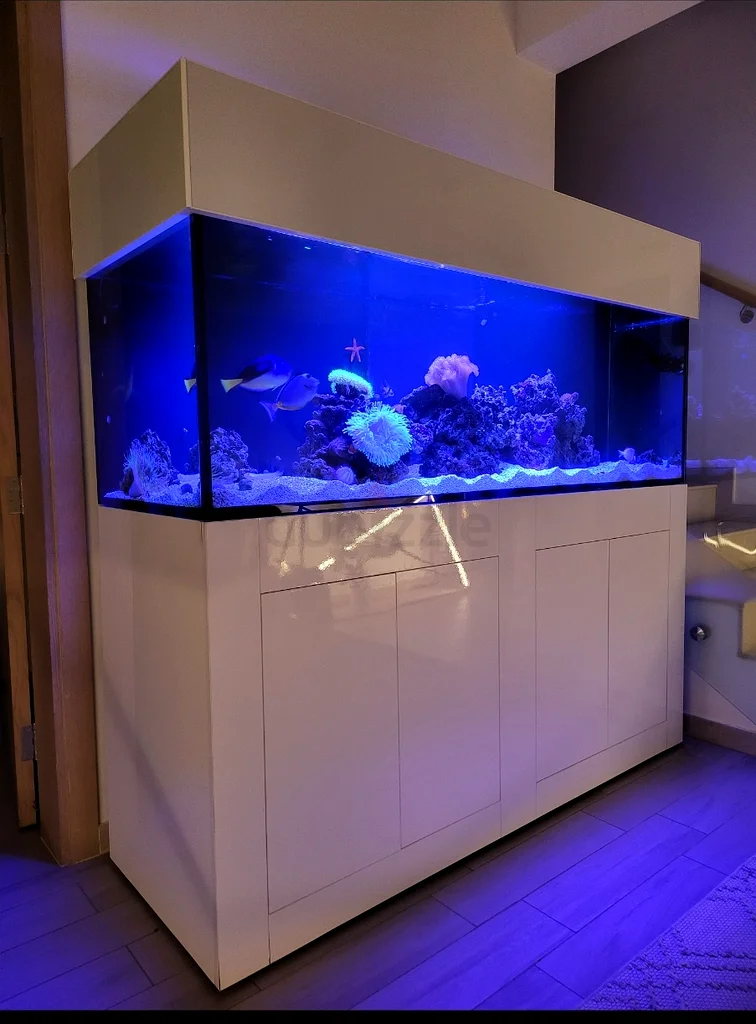 aquarium63233644987906113