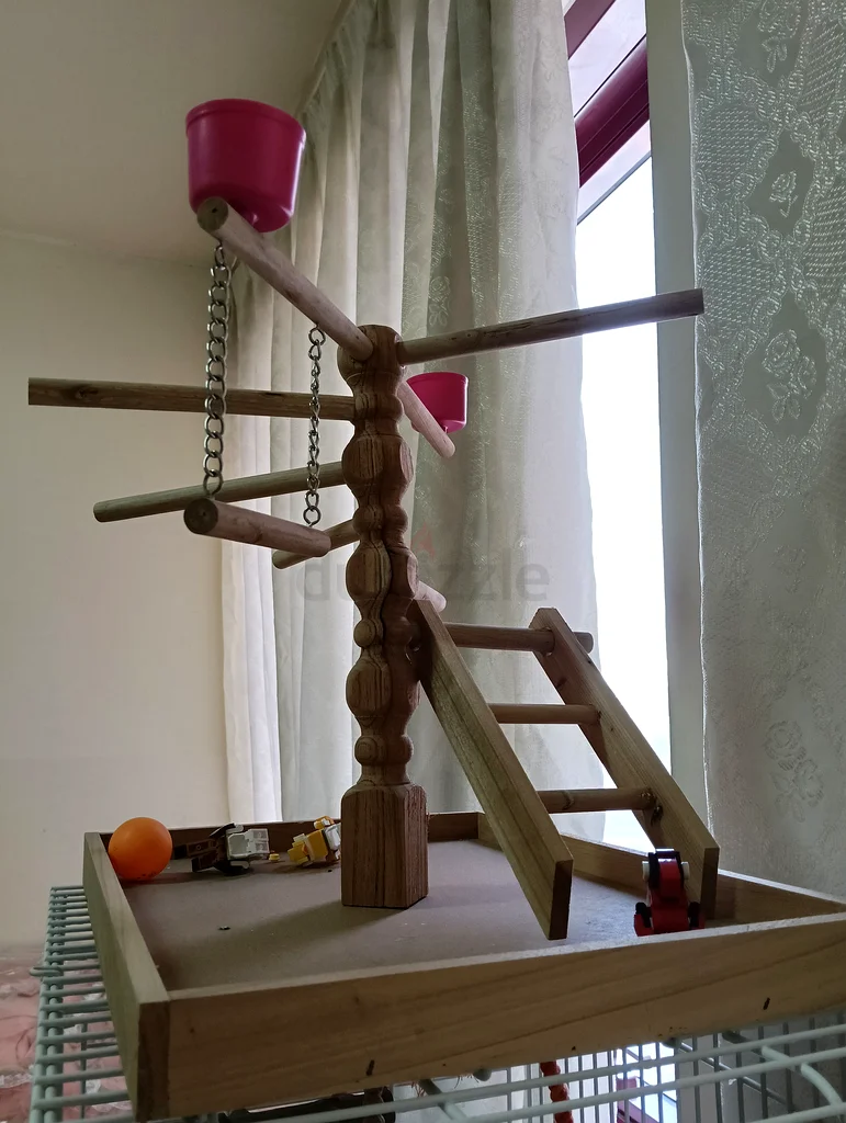 Spacious Bird Cage with Stand, Tree, and Toys for Sale!63232650372098112