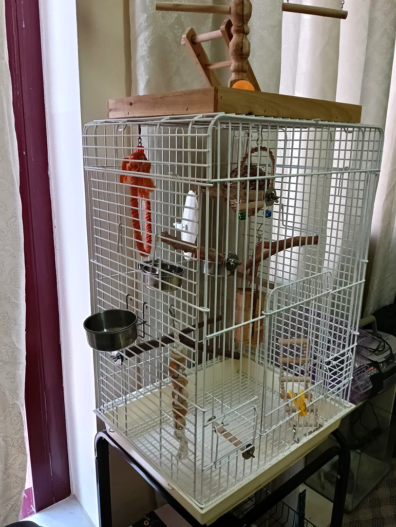 Spacious Bird Cage with Stand, Tree, and Toys for Sale!63232650372098111