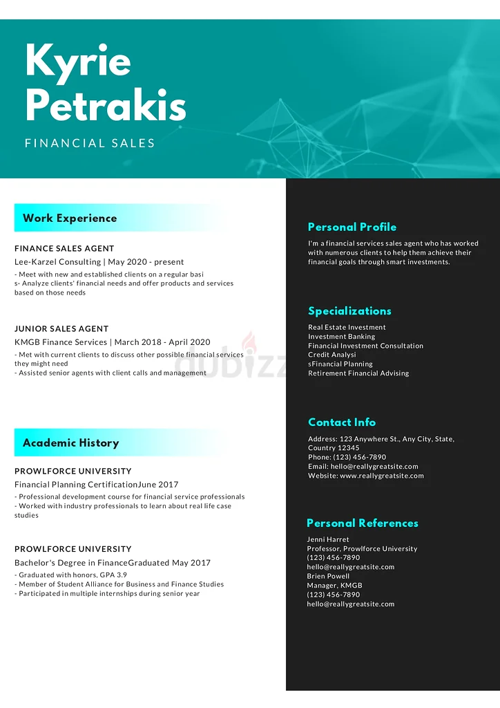 PROFESSIONAL CV63215879325441111