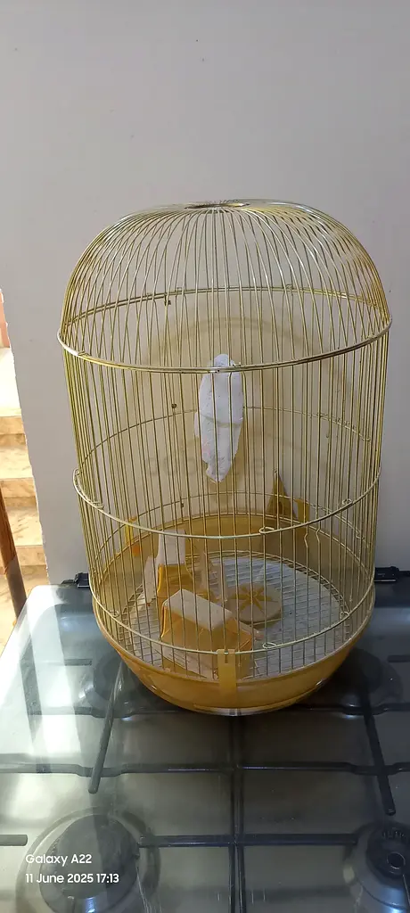 Bird cage