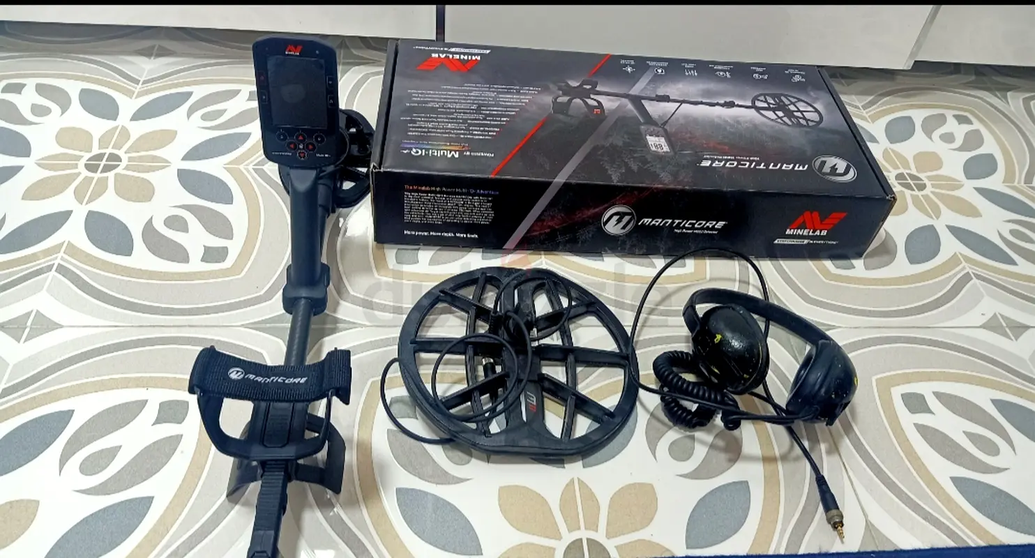 Metal detector63253472480641116