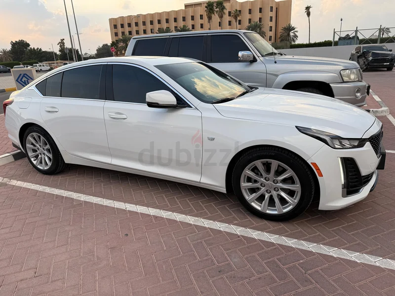 Abu Dhabi62929647595267119
