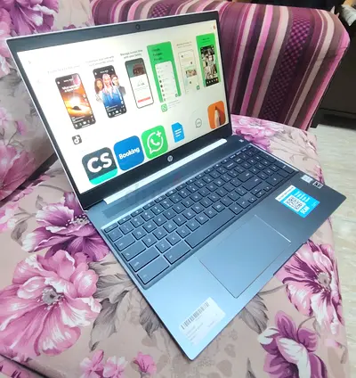 HP TouchScreen Intel Core i5 8250U _RAM 8 GB_SSD 128 GB_15.6 IPS (Full HD) 15-de0523dx  Chromebook