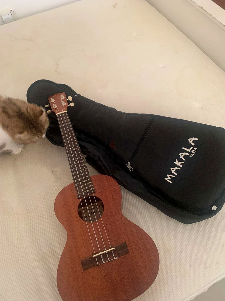 Melodic Charm: Makala Ukulele with Case for Sale!632272761459221127