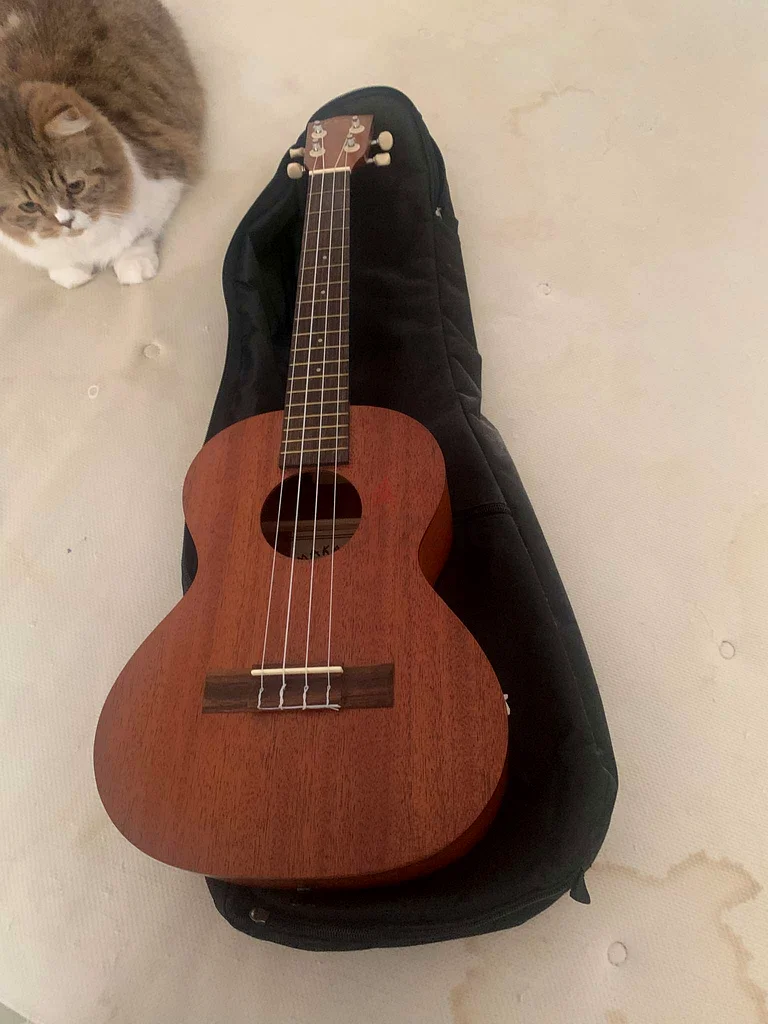 Melodic Charm: Makala Ukulele with Case for Sale!63227276145922112