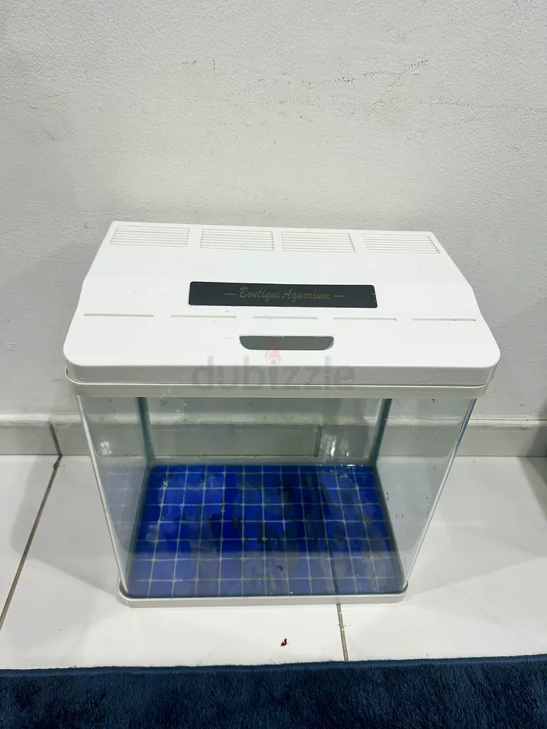 Aquarium 38cm