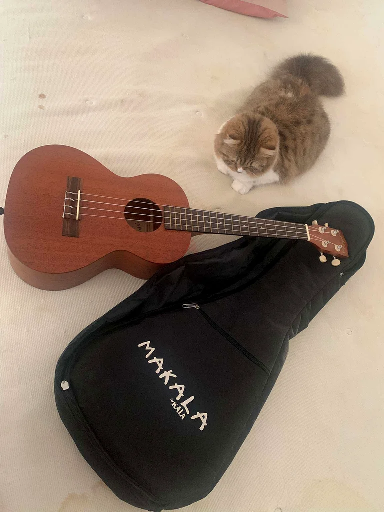 Melodic Charm: Makala Ukulele with Case for Sale!63227276145922111