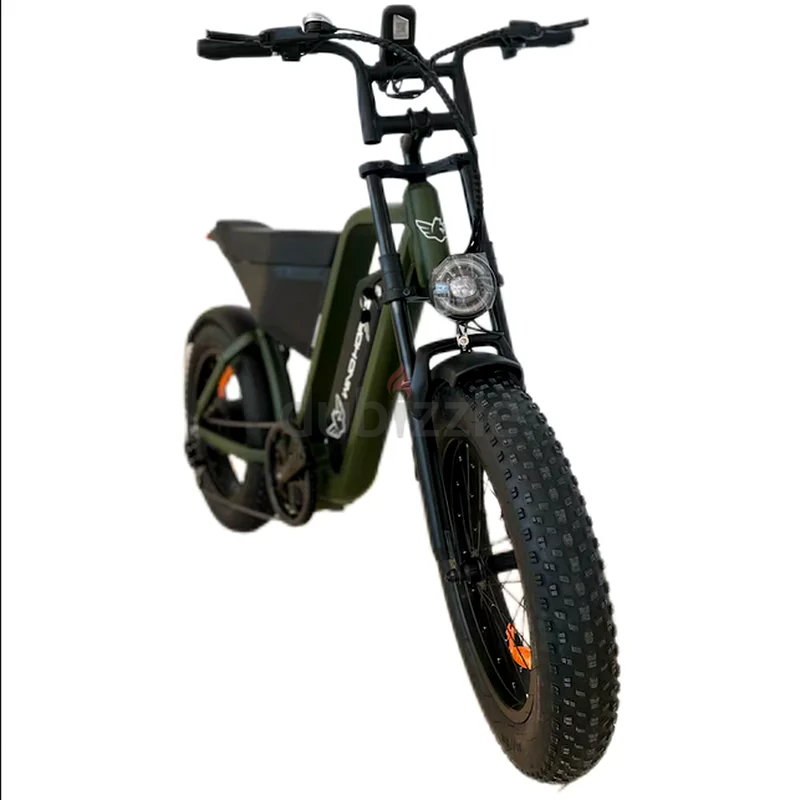 Wind Horse D3 Electric Bike Shimano Gear 7 Speed63253481483137113