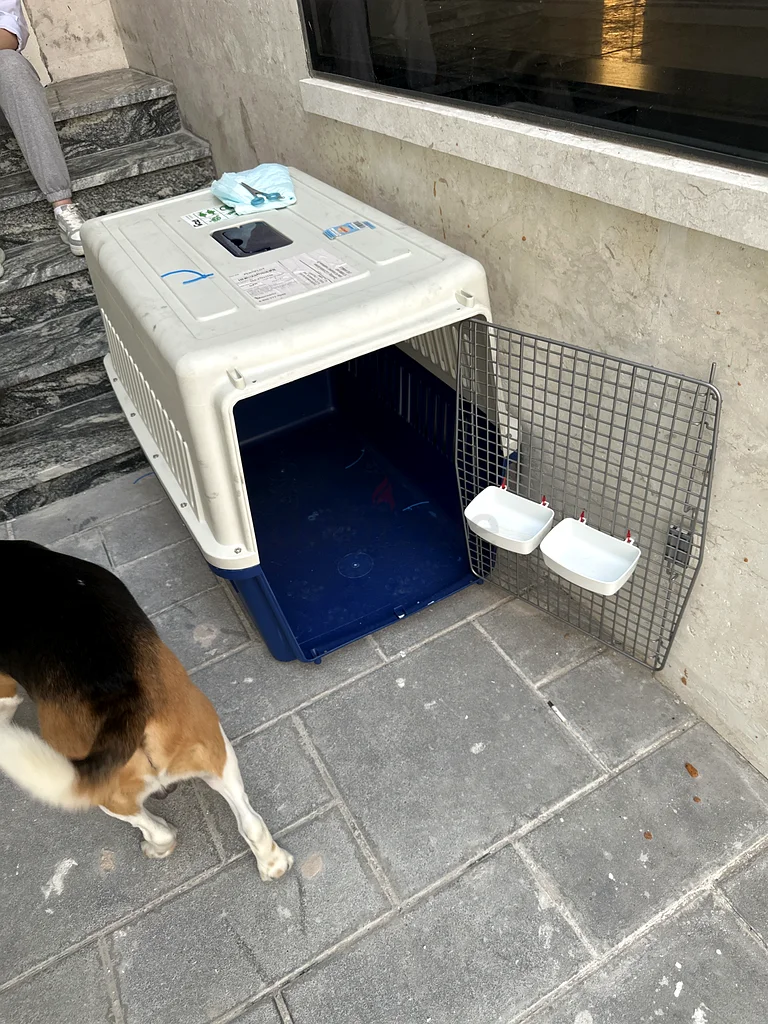 Dogs traveling box biggest size63172684576003111