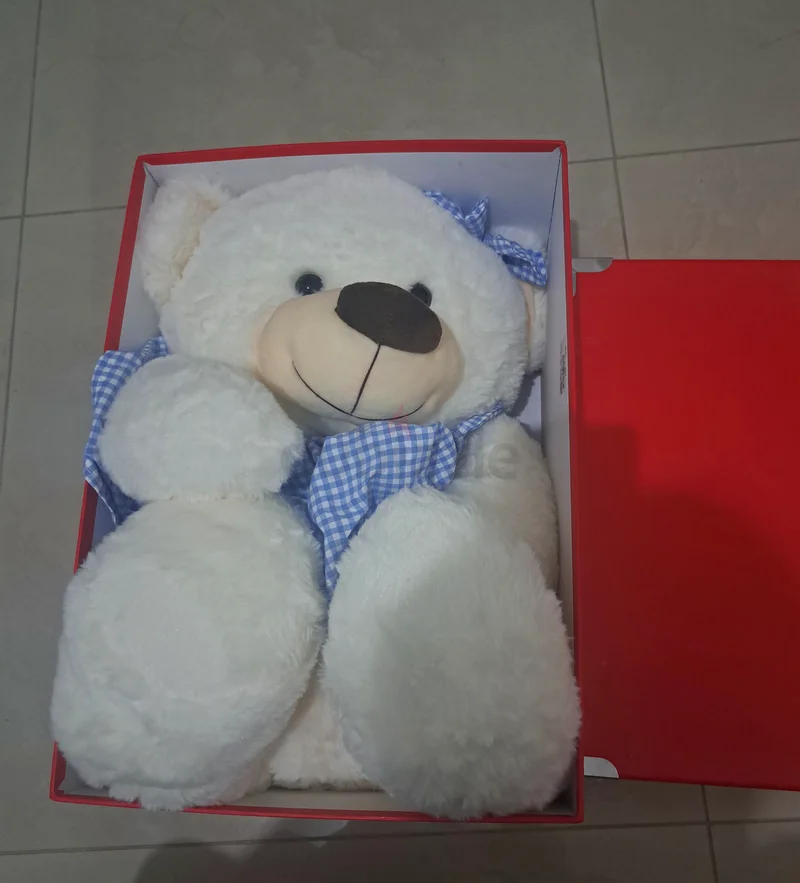 Teddy bear63205362524161111