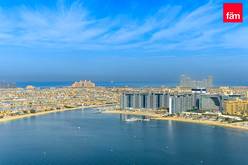 جديد بالكامل | منظر على النخيل | طابق عالي63733597148417110