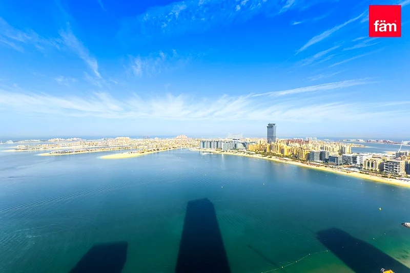 جديد بالكامل | منظر على النخيل | طابق عالي63733597148417111