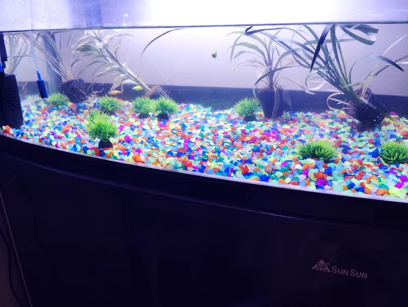 Beautiful Fish Tank 80cm with filters and stones632321599988501118