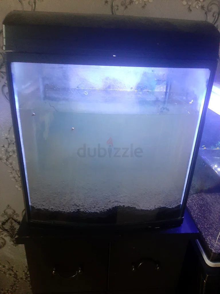 Stylish and Spacious Fish Tank with Led Light63173150845441111