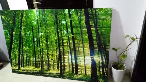 Lush Green Forest Canvas Art - Perfect for Home Decor!