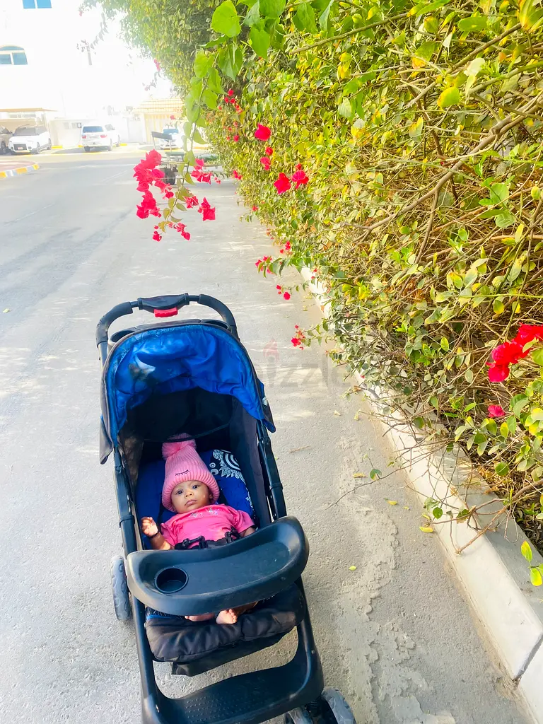 Lightly Used Stroller - Ready for Your Adventures!63205886462595112