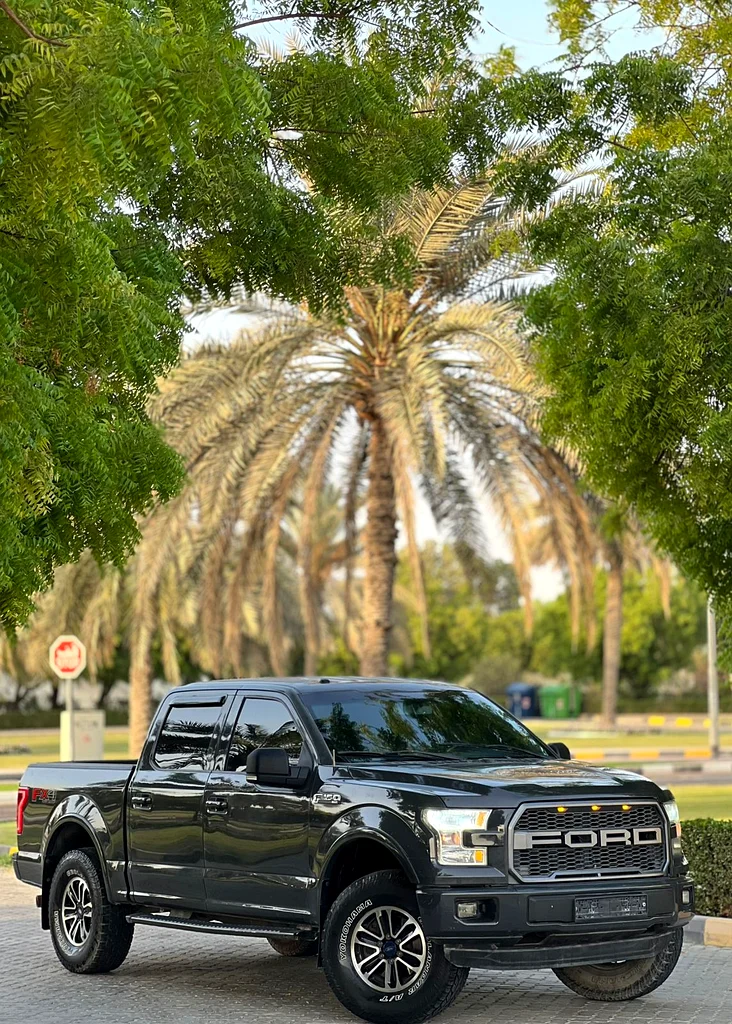 Ford F15063150948482179112