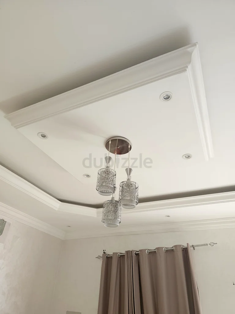 Vintage Elegant Chandelier with Frosted Glass Shades63222347161731111