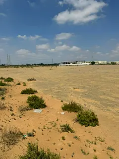 Lands for sale in Al Saja’a