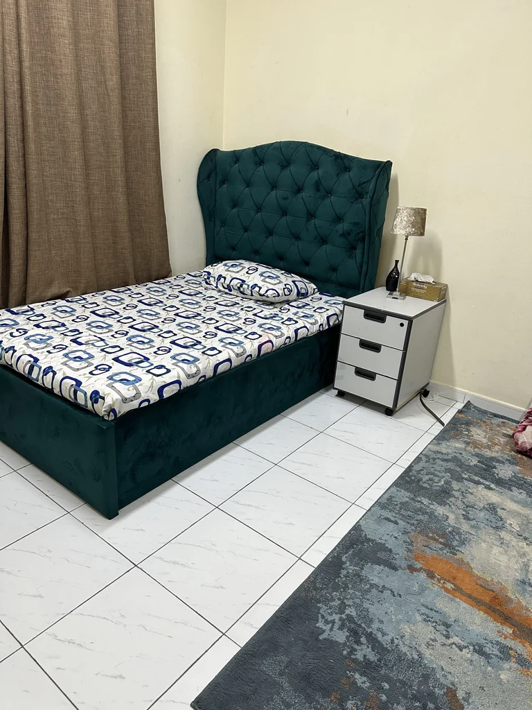 غرفة ماستر تنفيذية متاحة للإيجار للإناث62935673988994115