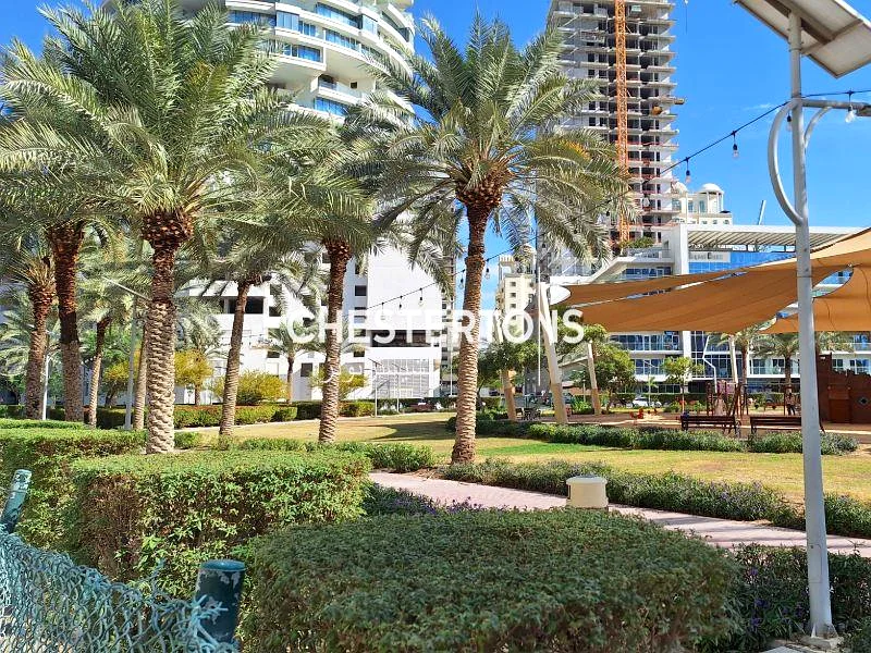 مساحة تجزئة على الشارع الرئيسي63186215644417112