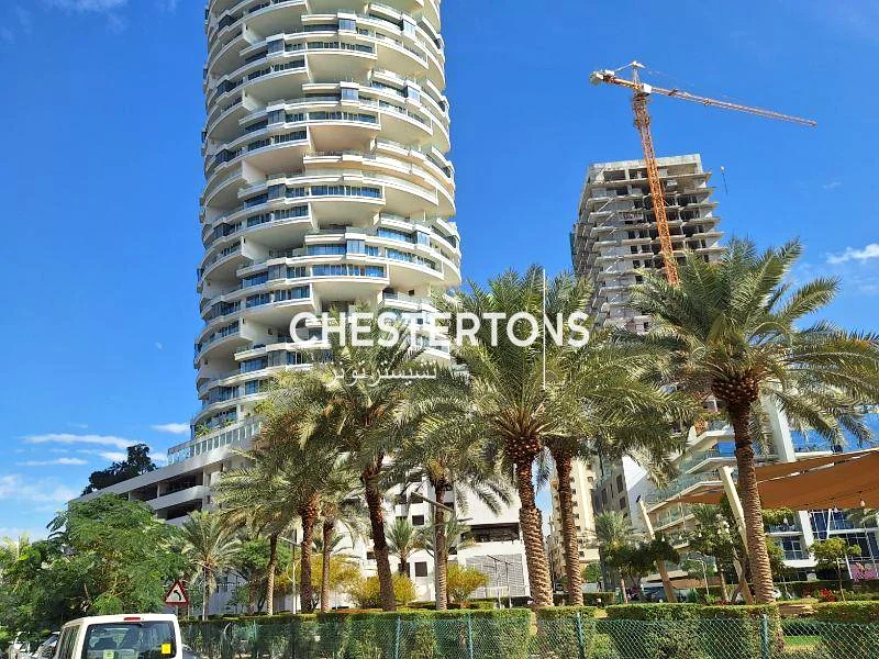 مساحة تجزئة على الشارع الرئيسي63186215644417113
