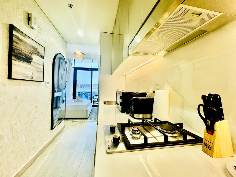 Modern Chic Studio in Azizi Riviera Property Type:63832314376449112
