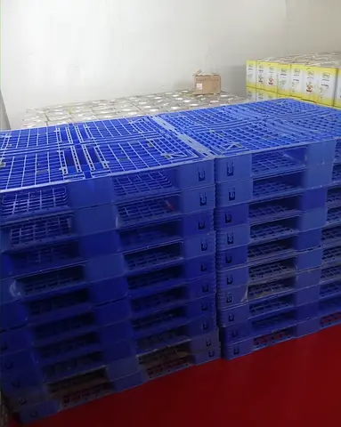pallets plastic sale